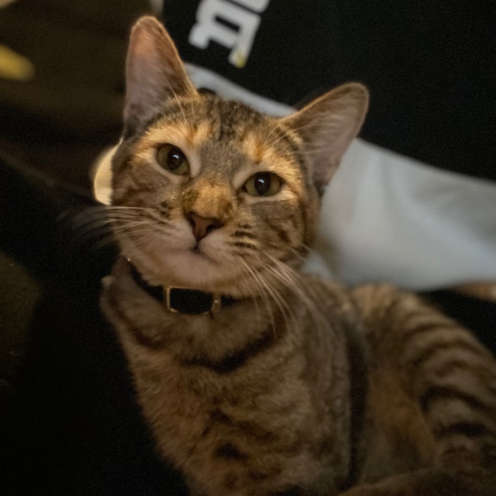 Meet your Posher, Kelly